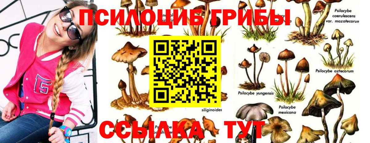 Заволжье  Галлюциногенные грибы мухоморы  Вход с VPN 