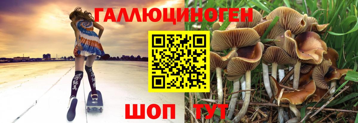 Галлюциногенные грибы Psilocybe Заволжье